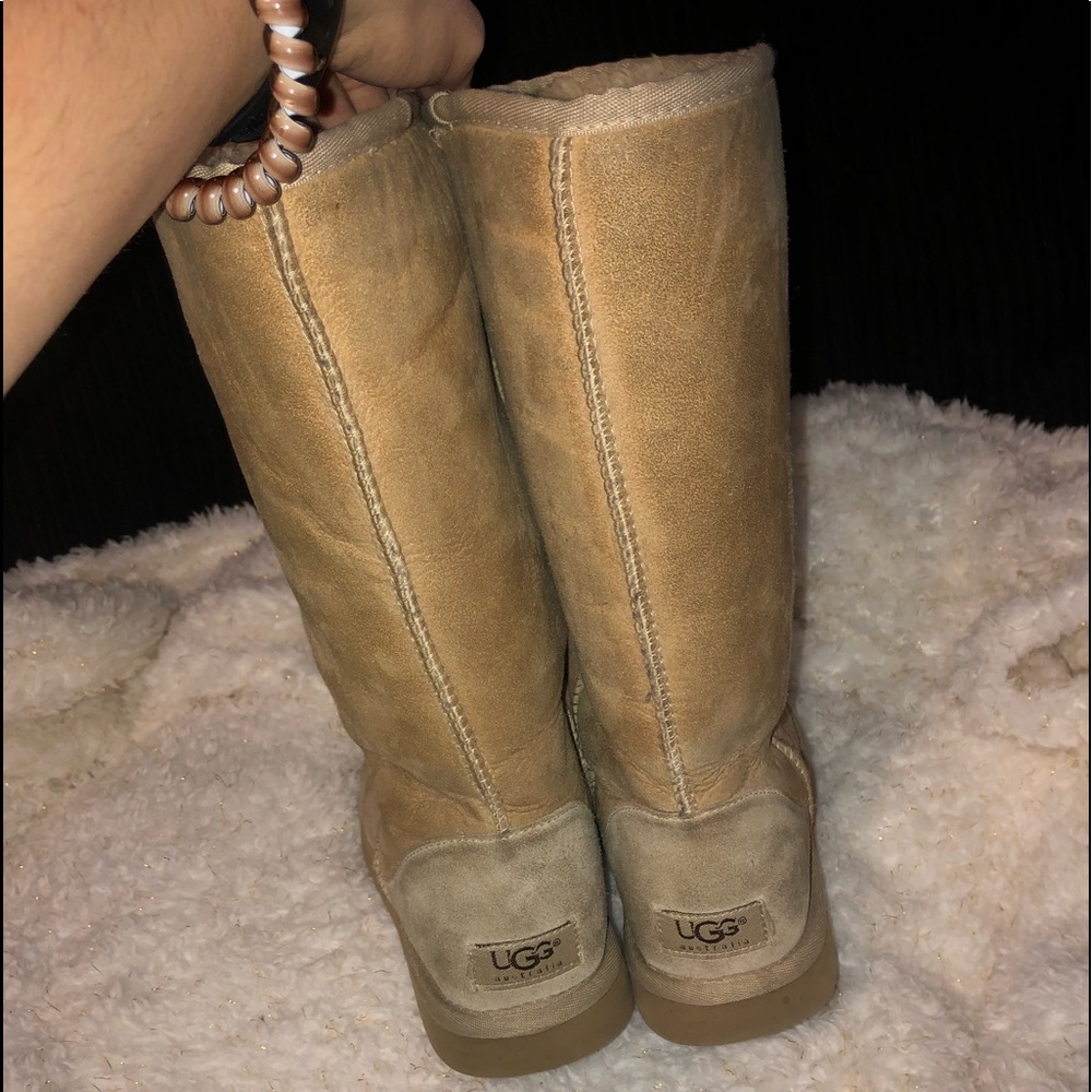Women’s Tall Uggs size 7